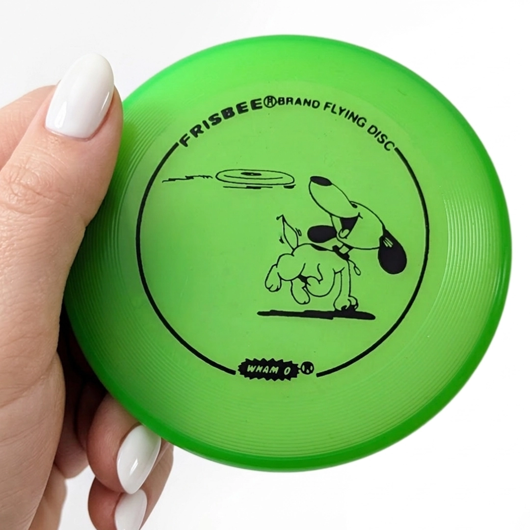 Mini Frisbee Dog Chasing